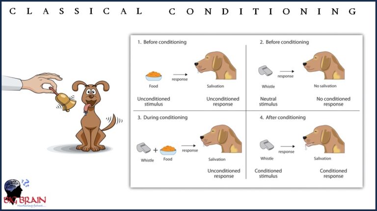 Classical Conditioning: A Comprehensive Analysis